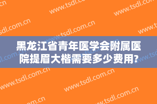 黑龙江省青年医学会附属医院提眉大楷需要多少费用?好不好?