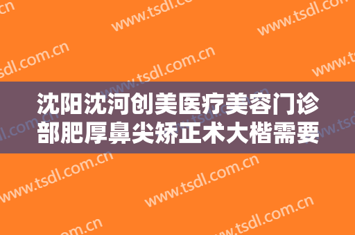 沈阳沈河创美医疗美容门诊部肥厚鼻尖矫正术大楷需要多少钱?怎么样?