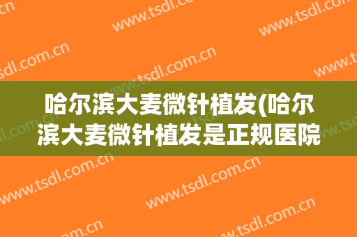 哈尔滨大麦微针植发(哈尔滨大麦微针植发是正规医院吗)