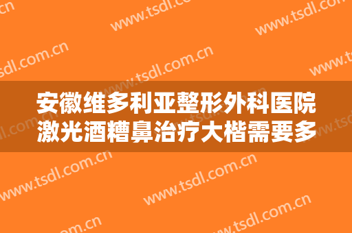 安徽维多利亚整形外科医院激光酒糟鼻治疗大楷需要多少费用?贵不贵?