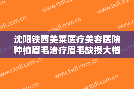 沈阳铁西美莱医疗美容医院种植眉毛治疗眉毛缺损大楷需要多少钱?多长时间恢复?