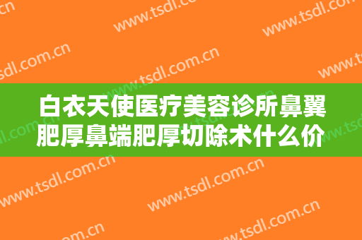 白衣天使医疗美容诊所鼻翼肥厚鼻端肥厚切除术什么价格?贵不贵?
