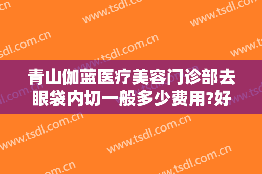青山伽蓝医疗美容门诊部去眼袋内切一般多少费用?好不好?