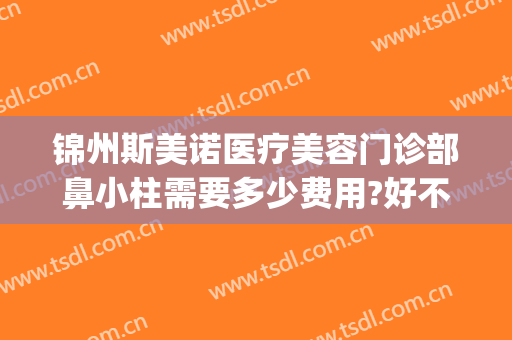 锦州斯美诺医疗美容门诊部鼻小柱需要多少费用?好不好?(锦州斯美诺整形医院)