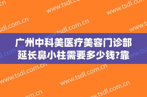 广州中科美医疗美容门诊部延长鼻小柱需要多少钱?靠谱吗?(广州求美整形医院开了多久)