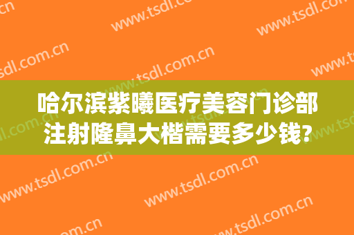 哈尔滨紫曦医疗美容门诊部注射隆鼻大楷需要多少钱?好不好?(哈尔滨紫曦医疗美容怎么样)