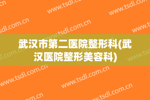 武汉市第二医院整形科(武汉医院整形美容科)
