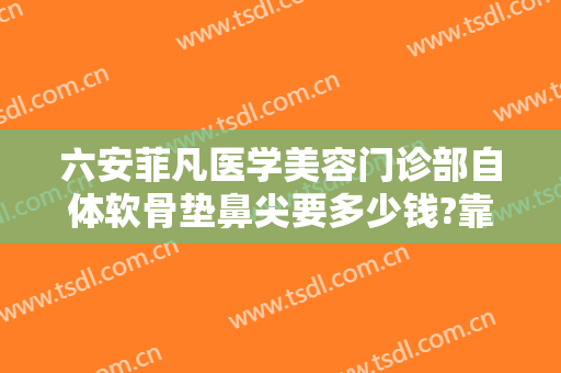 六安菲凡医学美容门诊部自体软骨垫鼻尖要多少钱?靠谱吗?
