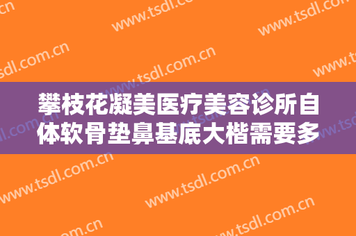 攀枝花凝美医疗美容诊所自体软骨垫鼻基底大楷需要多少费用?贵不贵?