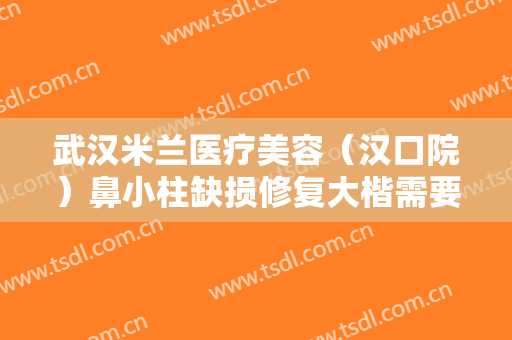 武汉米兰医疗美容（汉口院）鼻小柱缺损修复大楷需要多少钱?靠谱吗?