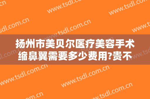 扬州市美贝尔医疗美容手术缩鼻翼需要多少费用?贵不贵?