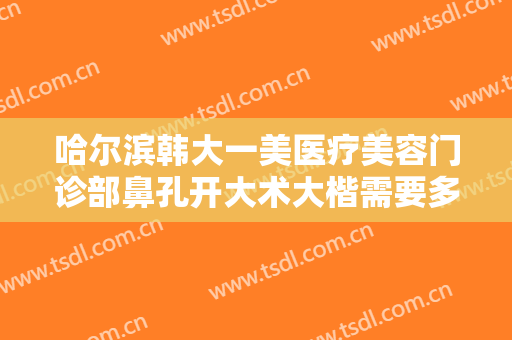 哈尔滨韩大一美医疗美容门诊部鼻孔开大术大楷需要多少钱?有哪些优势?
