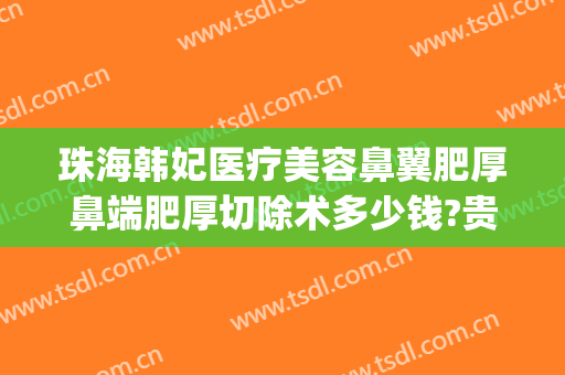 珠海韩妃医疗美容鼻翼肥厚鼻端肥厚切除术多少钱?贵不贵?(广州韩妃做鼻子最好的医生)