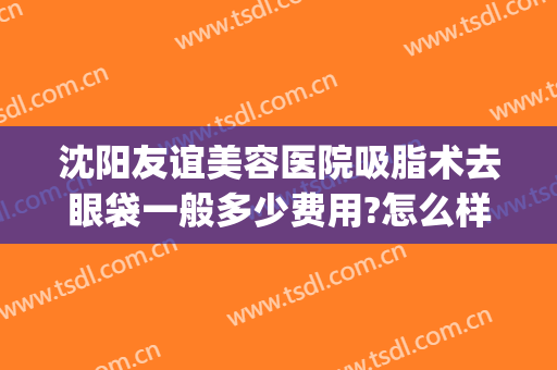 沈阳友谊美容医院吸脂术去眼袋一般多少费用?怎么样?(沈阳去眼袋手术哪里好)