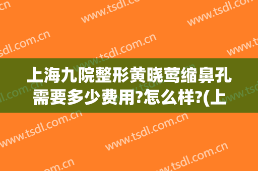 上海九院整形黄晓莺缩鼻孔需要多少费用?怎么样?(上海九院鼻子整形价格)