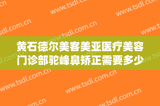 黄石德尔美客美亚医疗美容门诊部驼峰鼻矫正需要多少费用?贵不贵?(德尔美客医疗整形医院电话)