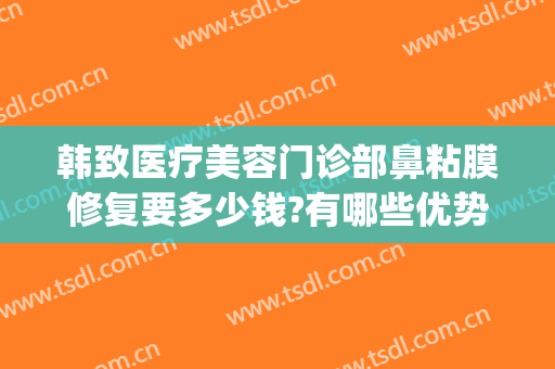 韩致医疗美容门诊部鼻粘膜修复要多少钱?有哪些优势?(韩致医疗美容门诊部鼻粘膜修复要多少钱?有哪些优势呢)