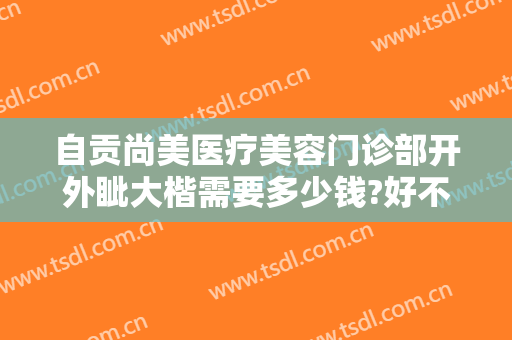自贡尚美医疗美容门诊部开外眦大楷需要多少钱?好不好?