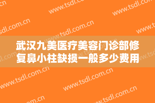 武汉九美医疗美容门诊部修复鼻小柱缺损一般多少费用?可靠吗?
