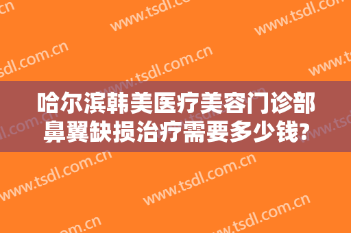 哈尔滨韩美医疗美容门诊部鼻翼缺损治疗需要多少钱?怎么样?