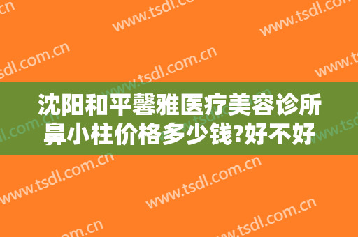 沈阳和平馨雅医疗美容诊所鼻小柱价格多少钱?好不好?