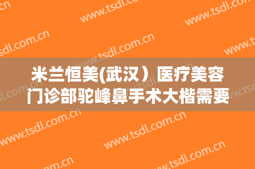米兰恒美(武汉）医疗美容门诊部驼峰鼻手术大楷需要多少费用?可靠吗?