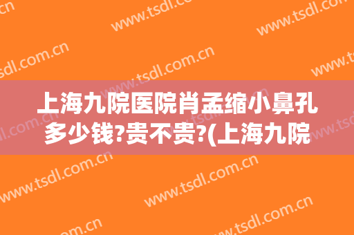 上海九院医院肖孟缩小鼻孔多少钱?贵不贵?(上海九院缩鼻翼多少钱)