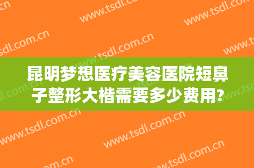 昆明梦想医疗美容医院短鼻子整形大楷需要多少费用?可靠吗?(昆明梦想整形美容医院正规吗)