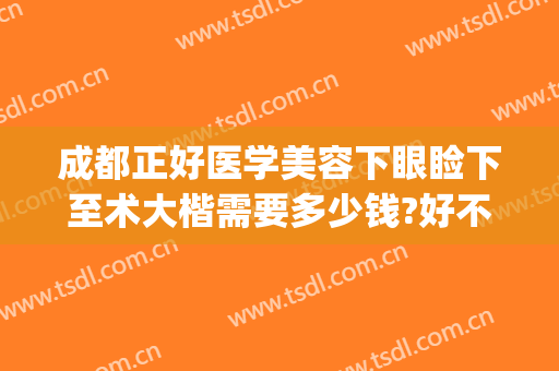 成都正好医学美容下眼睑下至术大楷需要多少钱?好不好?(做下眼睑手术多少钱)
