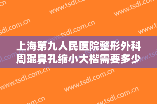 上海第九人民医院整形外科周琨鼻孔缩小大楷需要多少钱?靠谱吗?
