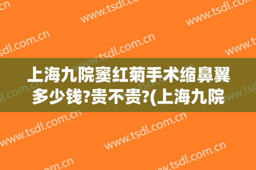 上海九院窦红菊手术缩鼻翼多少钱?贵不贵?(上海九院缩鼻翼价格)