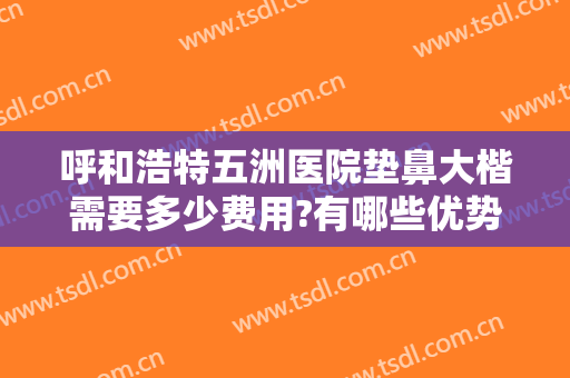 呼和浩特五洲医院垫鼻大楷需要多少费用?有哪些优势?