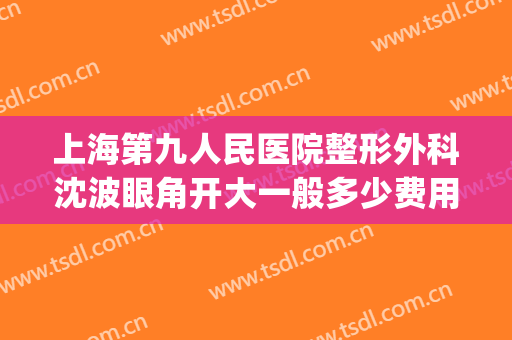 上海第九人民医院整形外科沈波眼角开大一般多少费用?好不好?(上海九院开双眼皮需要多少钱)