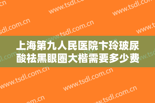上海第九人民医院卞玲玻尿酸祛黑眼圈大楷需要多少费用?可靠吗?