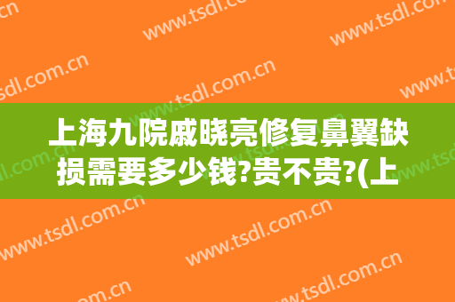 上海九院戚晓亮修复鼻翼缺损需要多少钱?贵不贵?(上海九院缩小鼻翼多少钱)