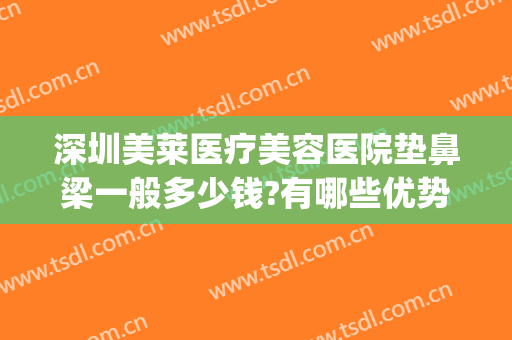 深圳美莱医疗美容医院垫鼻梁一般多少钱?有哪些优势?(深圳美莱美容整形医院价格表)