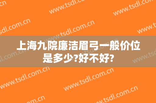 上海九院廉洁眉弓一般价位是多少?好不好?