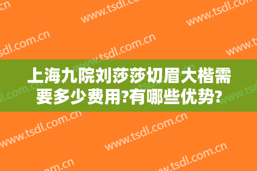 上海九院刘莎莎切眉大楷需要多少费用?有哪些优势?