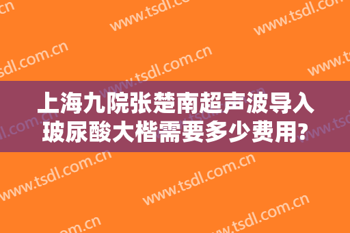 上海九院张楚南超声波导入玻尿酸大楷需要多少费用?好不好?