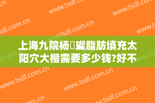 上海九院杨珵璨脂肪填充太阳穴大楷需要多少钱?好不好?