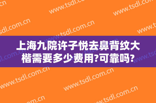 上海九院许子悦去鼻背纹大楷需要多少费用?可靠吗?