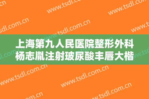 上海第九人民医院整形外科杨志胤注射玻尿酸丰唇大楷需要多少费用?靠谱吗?