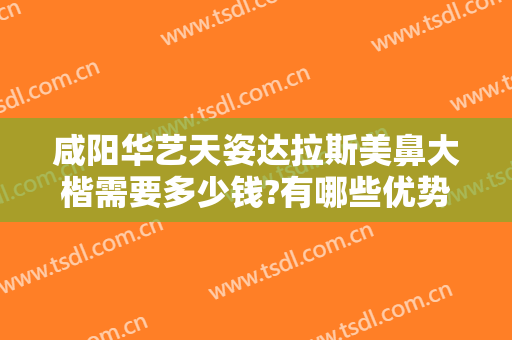 咸阳华艺天姿达拉斯美鼻大楷需要多少钱?有哪些优势?