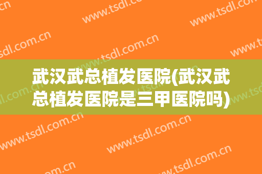 武汉武总植发医院(武汉武总植发医院是三甲医院吗)