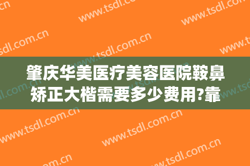 肇庆华美医疗美容医院鞍鼻矫正大楷需要多少费用?靠谱吗?(肇庆牙齿矫正多少钱)