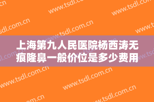 上海第九人民医院杨西涛无痕隆鼻一般价位是多少费用?好不好?