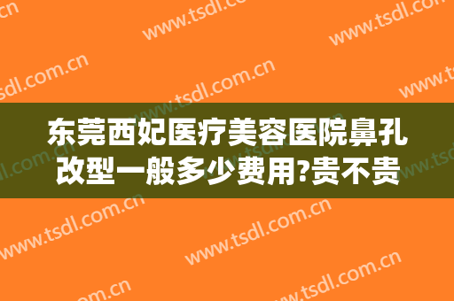 东莞西妃医疗美容医院鼻孔改型一般多少费用?贵不贵?(东莞西妃医疗美容可靠吗)
