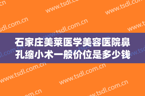石家庄美莱医学美容医院鼻孔缩小术一般价位是多少钱?效果怎么样?(医美缩小鼻子毛孔)