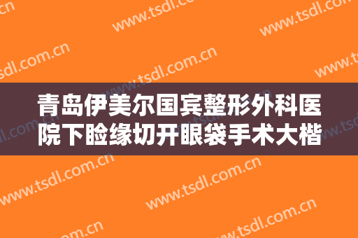 青岛伊美尔国宾整形外科医院下睑缘切开眼袋手术大楷需要多少费用?靠谱吗?