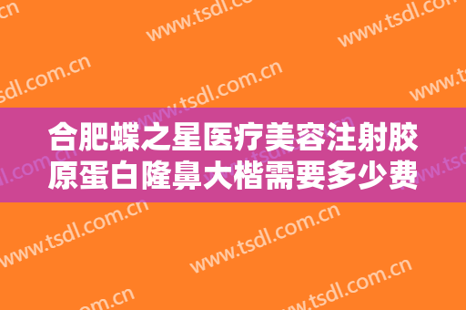 合肥蝶之星医疗美容注射胶原蛋白隆鼻大楷需要多少费用?多长时间恢复?